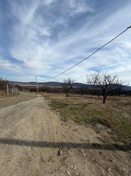 Teren Construcții intravilan de 5000 mp, în Central