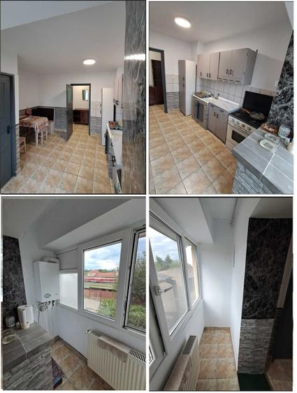 Apartament cu 2 camere decomandat în Botizului
