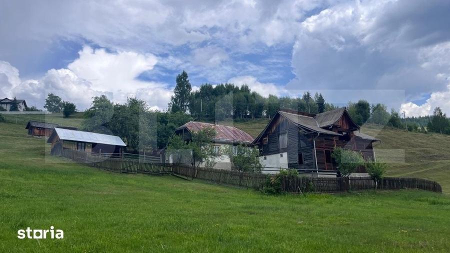 Teren de 36000 mp, în Bosanci