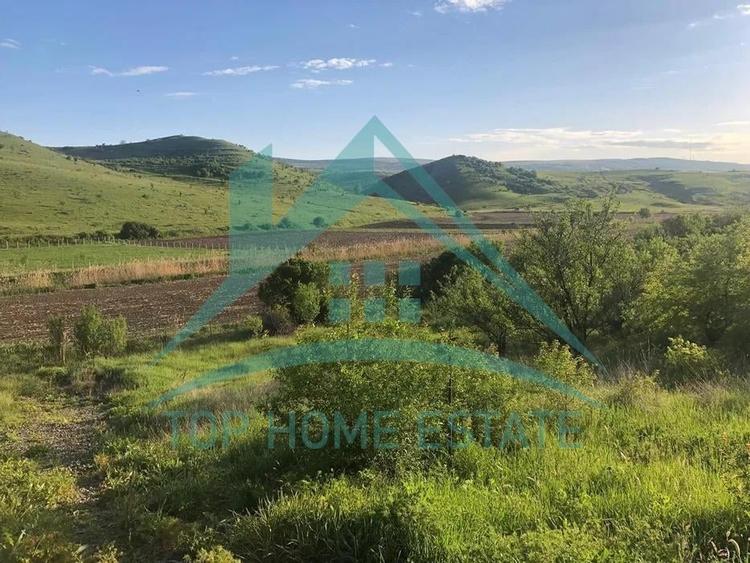 Teren Construcții extravilan de 800 mp, în Pata