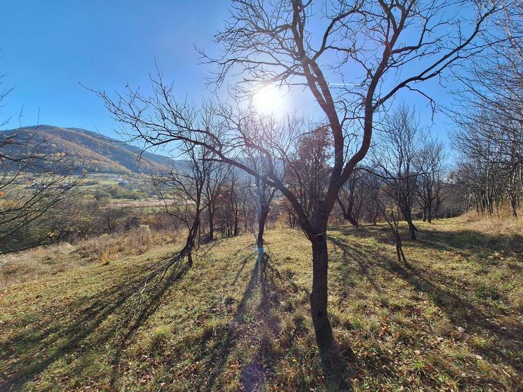 Vand teren la Sibiel - 5