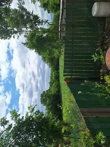 Vand casa plus teren - 7