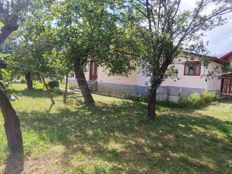 De vinzare teren intravilan +casa locuibila din caramida cu toate utilitatile - 4
