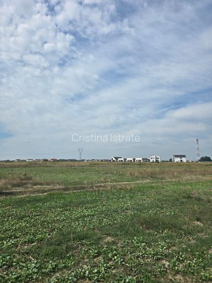 Mosnita Veche - 11 parcele - 10800 mp- CF individuale