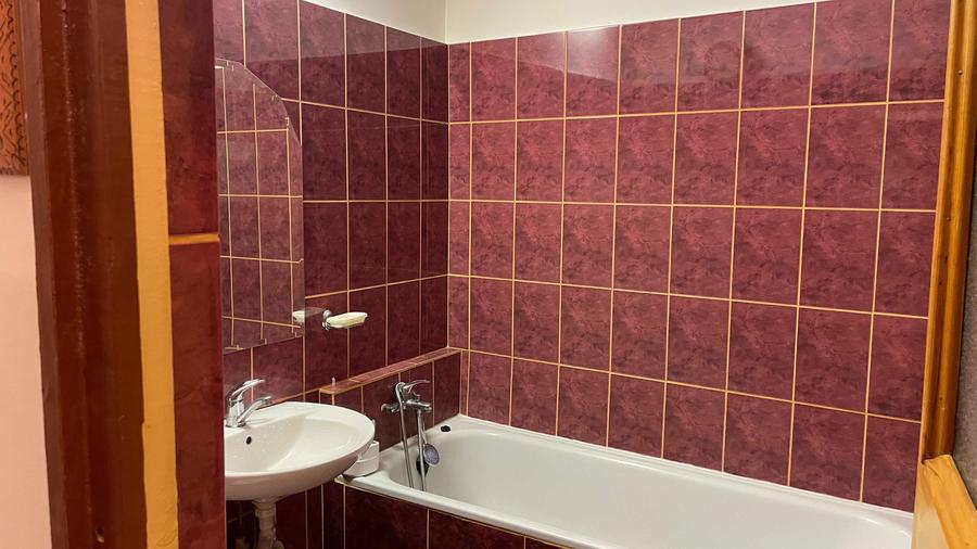 apartament 2 camere, zona Fratii Golesti - 10