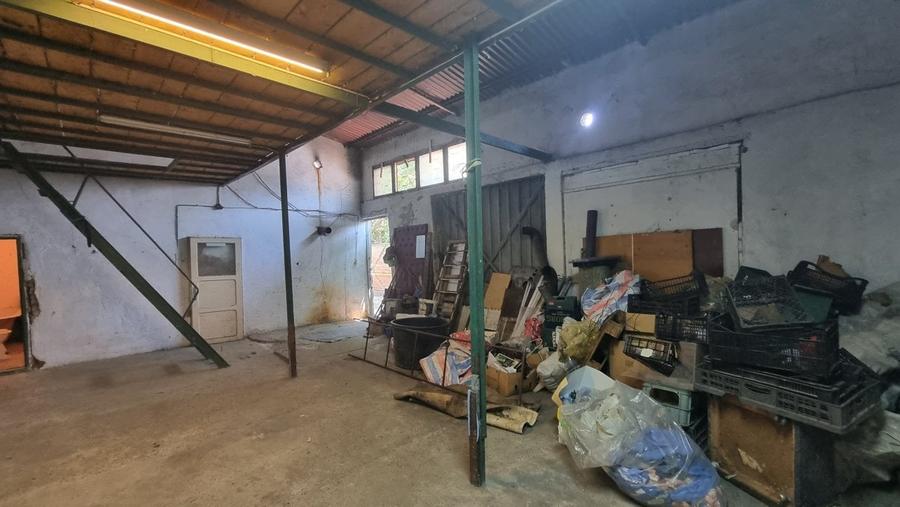 Casa și hala de vamzare în zona Colentina / Danone - 6