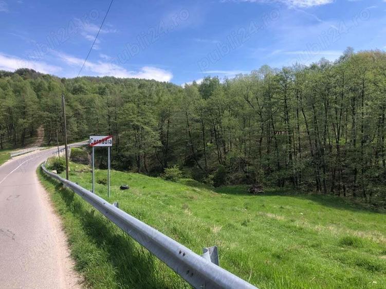 Teren Zona Turistica Transalpina - Pestera Muierilor 9.746 mp - 5