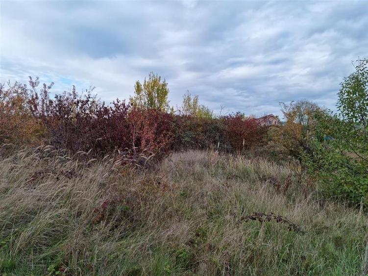 RECO teren intravilan 705 mp Osorhei - 6