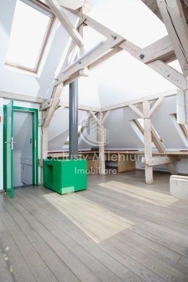 La Vila Birouri Decebal -Piata  Muncii Et 1+M - 12