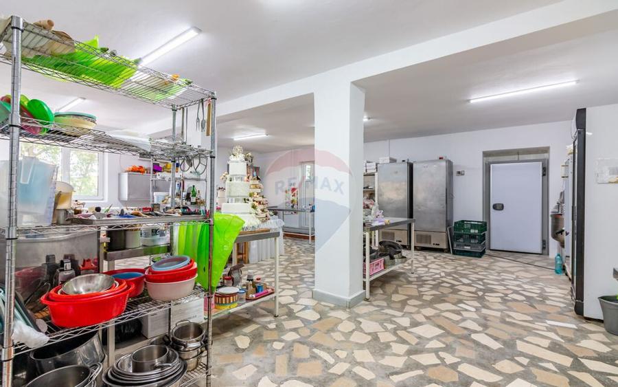 Casa+Laborator+ Teren 12.700 mp + casa de vacanta - Bolin... - 9