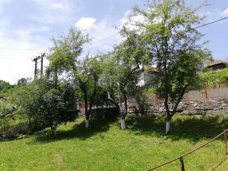 casa si teren la Provita de Jos - 5