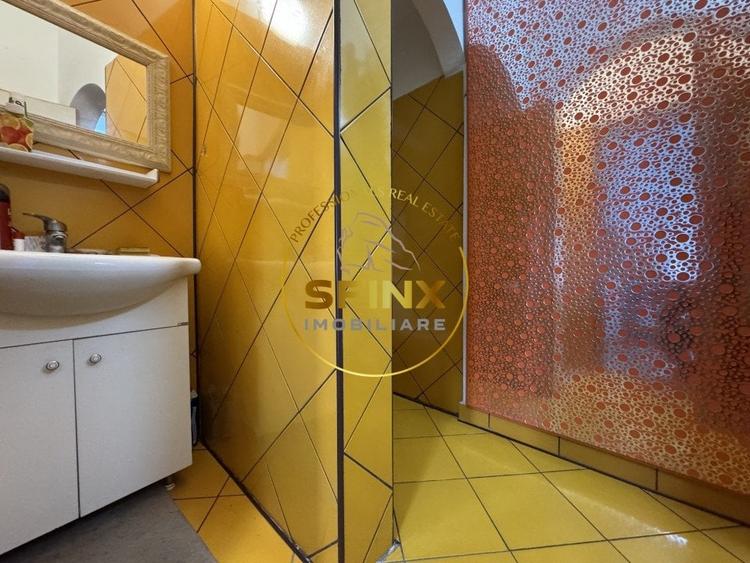 Cladire mixta 362 mp in zona Dacia, 3 intrari separate - 15