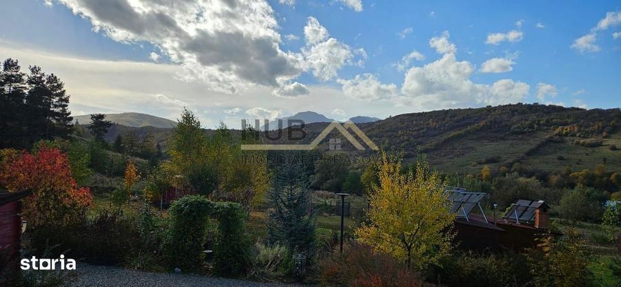 Teren cu PUZ - Tabara de Vacanta + Constructie Tiny Hous | 10 Cabane - 9