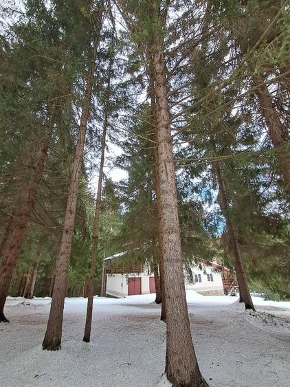 Vand casa de vacantă Dealu Negru, Călățele pădure. - 8