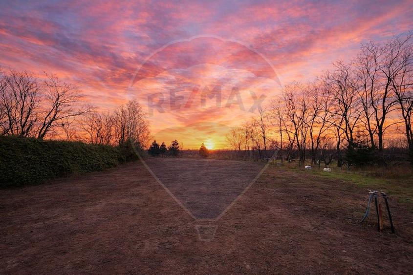 Teren de vanzare in Poiana Ovidiu Constanta - 2