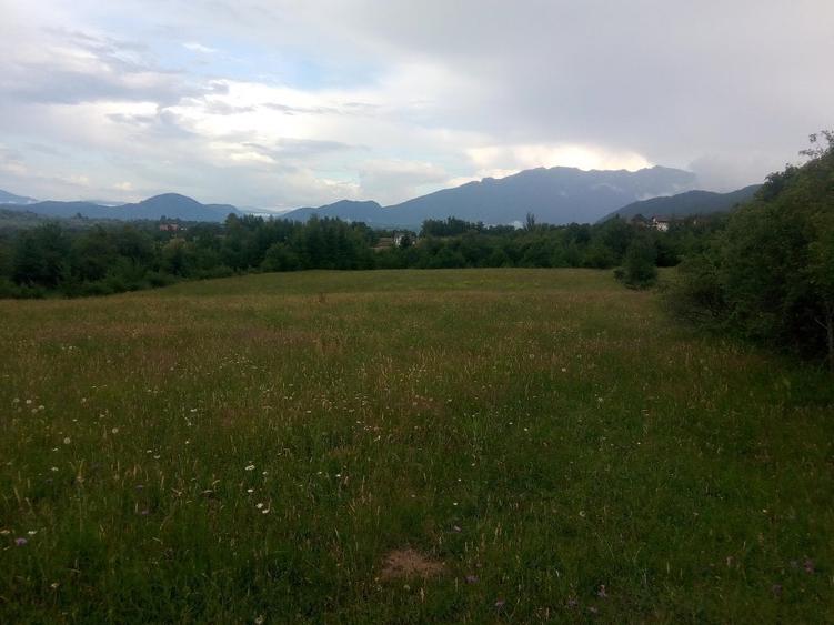 Teren parcelat in suprafata de 1100 mp, in Tohanita acces din soseaua Branului - 2