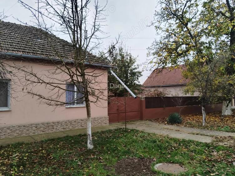 Casa de vanzare Peciu Nou
