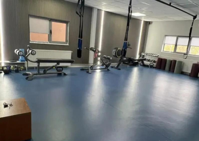 Spatiu comercial P+1, 440 mp, zona Brazda lui Novac - 1