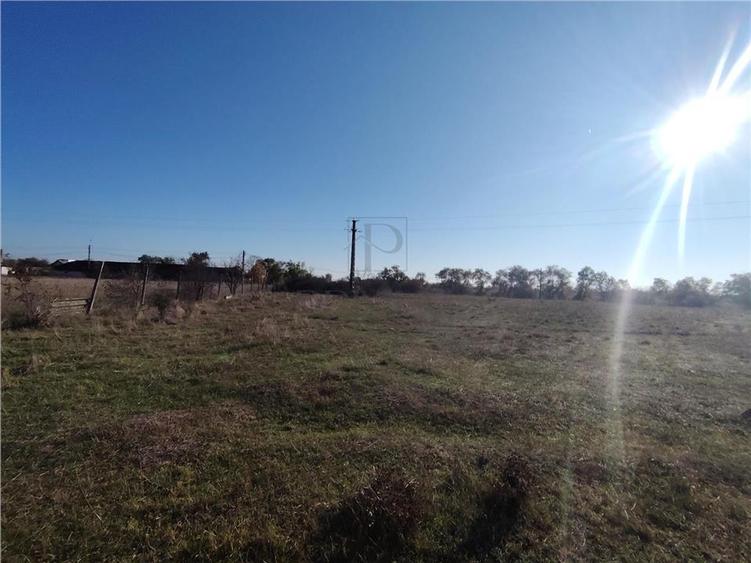 Teren de vanzare - 8027 mp - 1