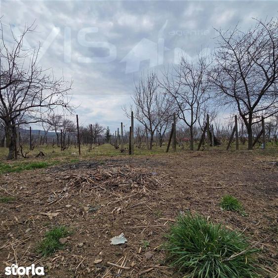 Casa de vanzare in Com. Helegiu - 4