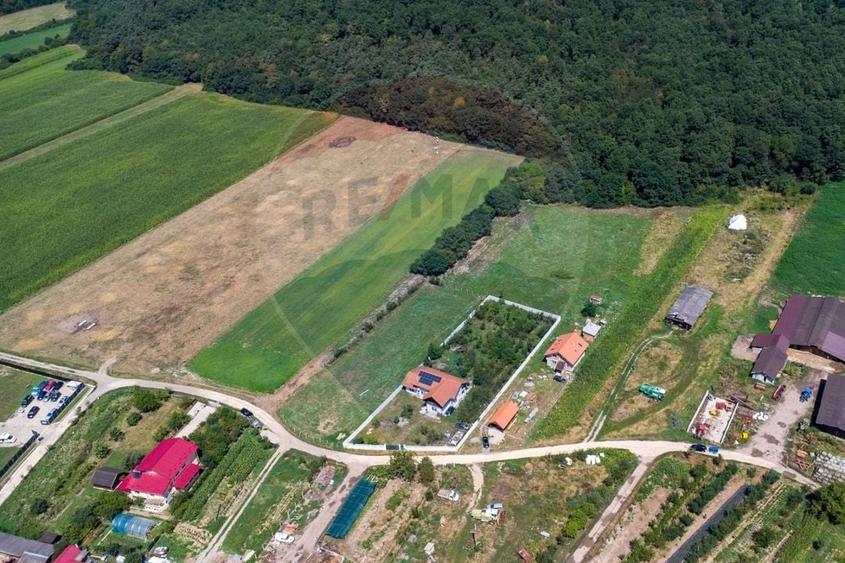 Teren intravilan Balata /Hunedoara - 13