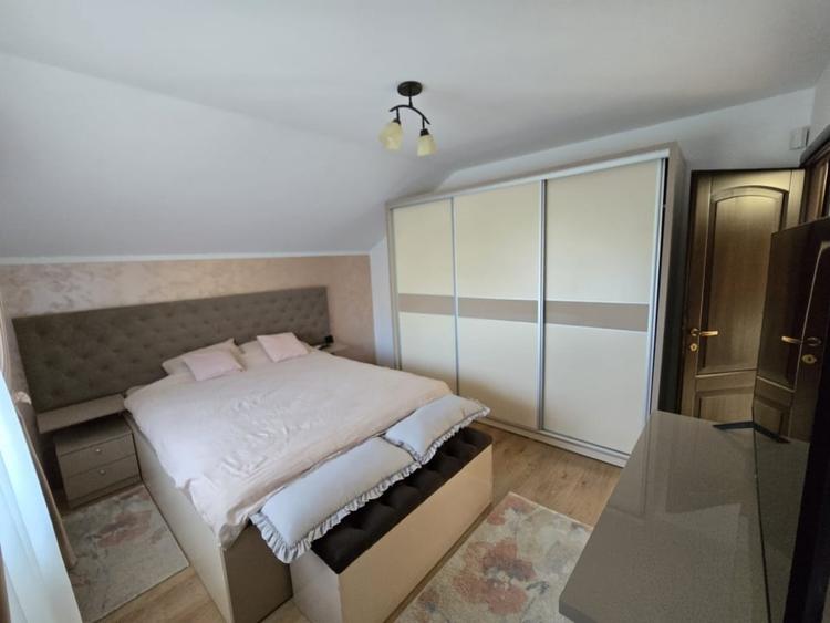 Casa de Vis, Serbanesti - 18