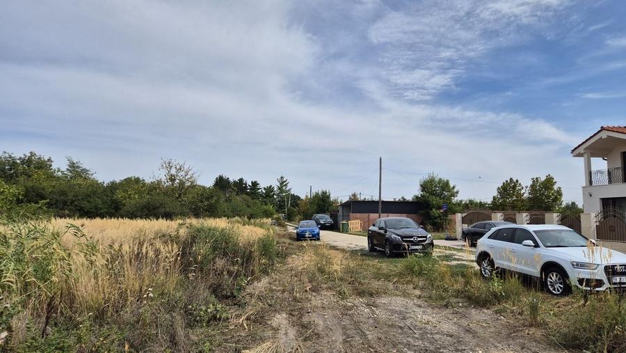 Teren intravilan 1000 mp - Domnesti - 3