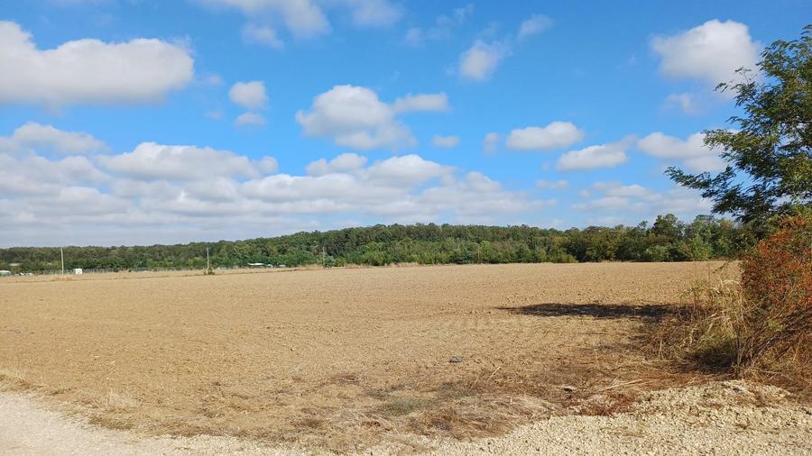 Teren Izvorani -Padure -COR - 6