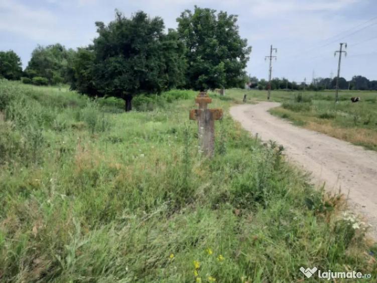 Teren extravilan de vanzare, 4900 mp, Bolde?ti Scaieni - 1