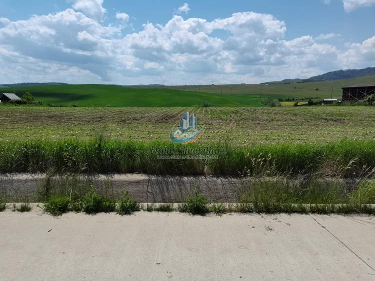 Teren 8500mp+8500 mp, deschidere 32 m+32 m, Negresti, Jud. Neamt - 1