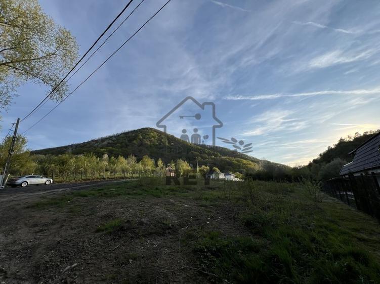 Teren la poalele Cetății Cisnadioarei de vânzare/1250 mp - 9