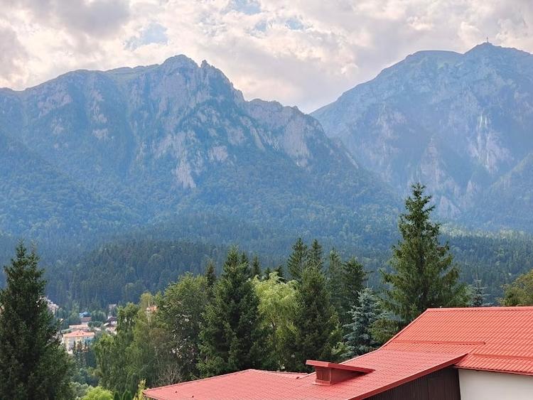 Vila D+P+E+M de vanzare in Busteni - 3