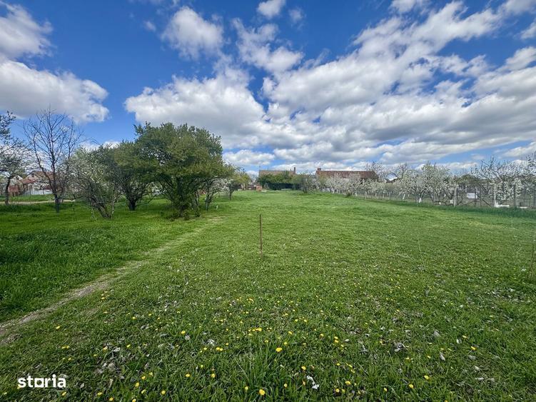 Vand teren 4097 mp, Aradul Nou - 3