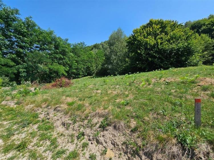 Alzza Real Estate  Teren intravilan de vanzare in Salicea, Cluj  1170 mp cu PU - 1