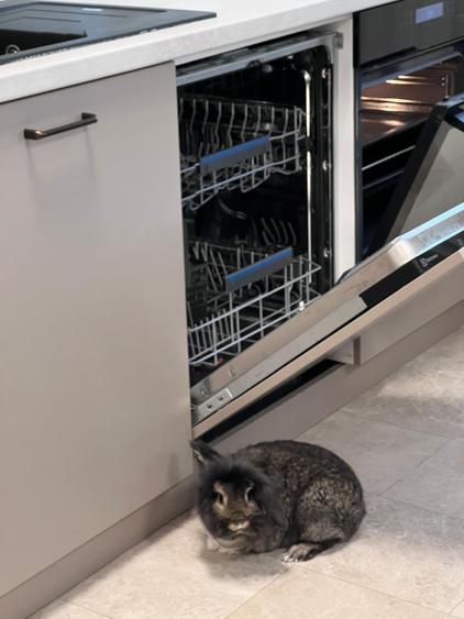 Luxuria Residence | Code MY032-02  |  620EUR+TVA - 26