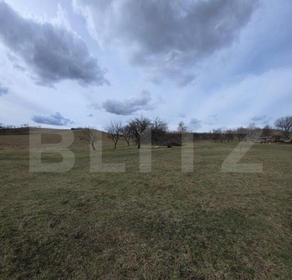 Teren intravilan de vanzare, 28 de ari, zona Herina, Bistrit - 4