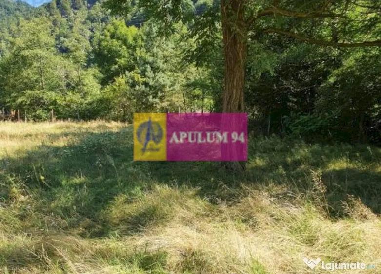 Teren Jude?ul Valcea - Brezoi, Valea lui Stan - 3