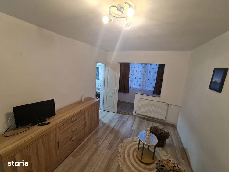 Inchitiez Garsoniera Confort 1 Micalaca Cenad,proaspat Zugravita Eta3 - 14