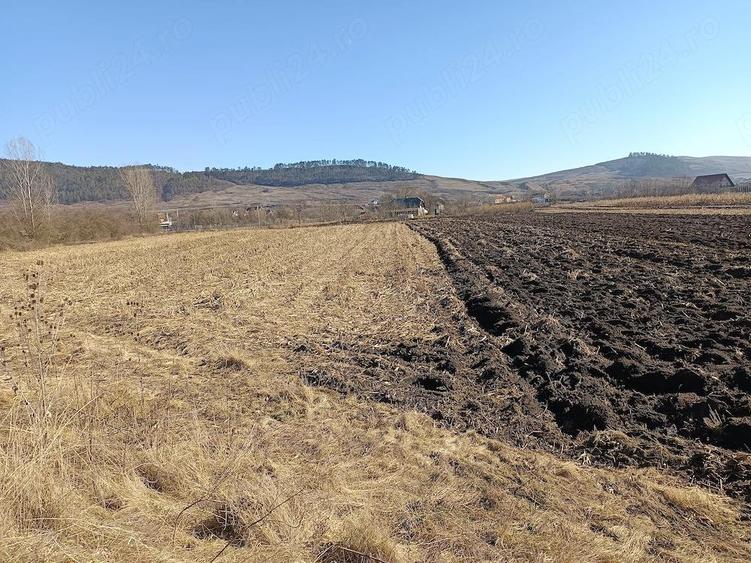 teren agricol in arenda BONTIDA - 1