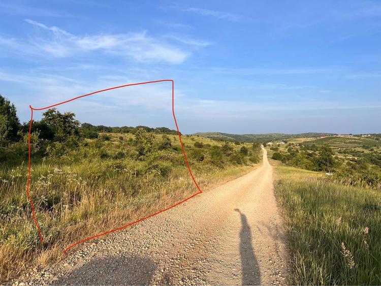 Teren Saldabagiu de Munte - 1