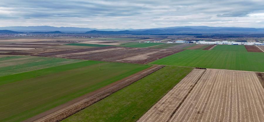 Teren Prejmer - Parc industrial - 5