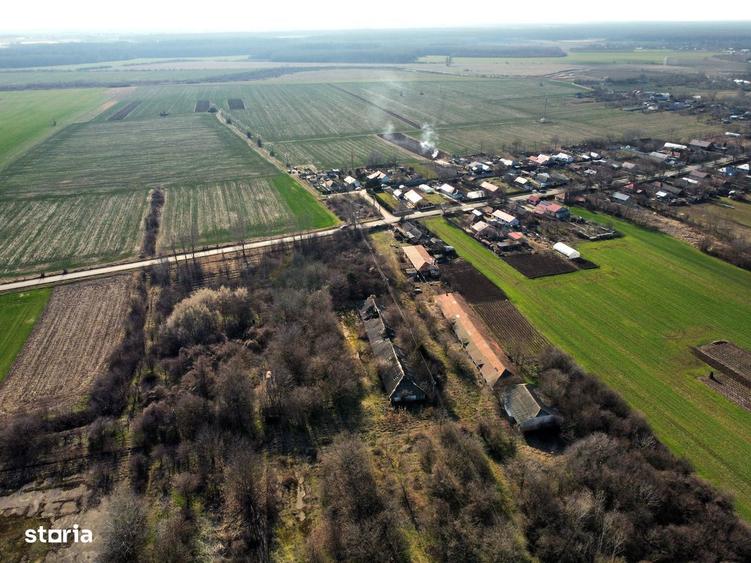 Ferma si livada de meri in judetul Ilfov - 10