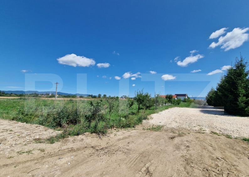 Teren 6300mp-Oportunitate investitie,zona in dezvoltare - 5