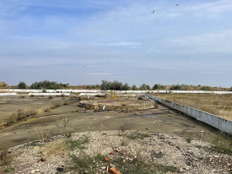 Ovidiu 6 ha teren intravilan construibil îngrădit și platforma betonata. - 7