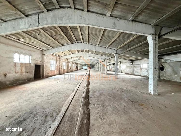 HALE INDUSTRIALE | CLADIRE BIROURI | TEREN 7000 MP | GHEGHIE BIHOR - 7