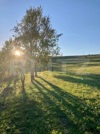 Casa  cu 10000mp de teren in Buza, la 50 km de Cluj-Napoca - 3
