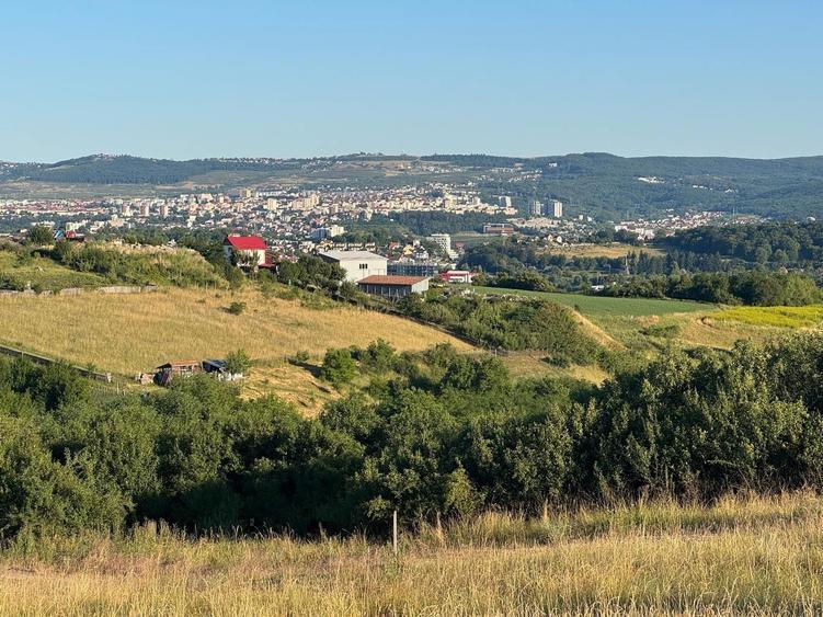 Teren parcelabil 5300 mp zona Lomb - 6