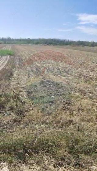 Teren 5,000mp Tantava / Strada Tufan - 2