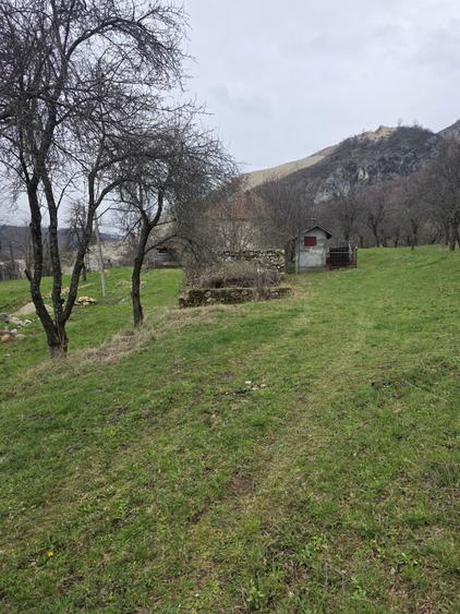 De Vanzare Casa plus Teren - 4