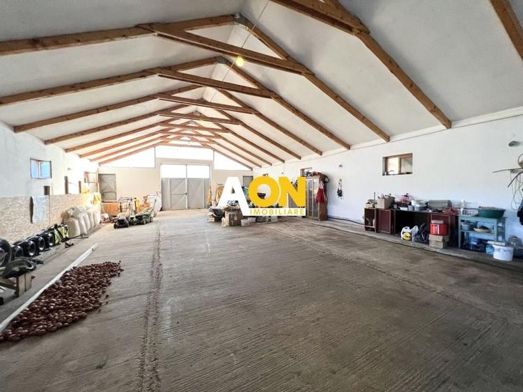 Ferma de vanzare cu 550MP utili si 27.500MP teren la asfalt - 9